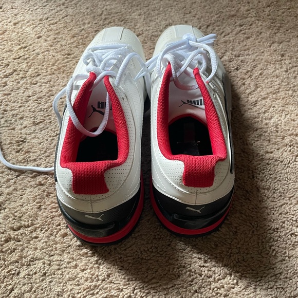 Pumas - Picture 4 of 6